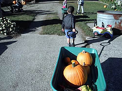 Boy with wagon of pumpkins.